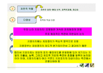 [지방정치론] 지방정치와 권력구조-4