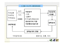 [지방정치론] 지방정치와 권력구조-9