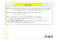 [지방정치론] 지방정치와 권력구조-13