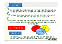 [지방정치론] 지방정치와 권력구조-19