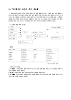 [언론정보학] 텔레비젼(TV)-2