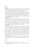 [정치] UCC를 통한 선거운동-2