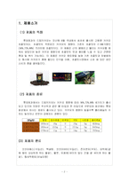 [마케팅 원론] [마케팅] 드림카카오-2