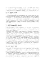 [IMF] IMF 구제금융사태의 정책 및 대책과 대응방안 분석 고찰-11