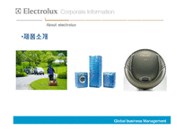 [국제경영] Electrolux의 해외인수합병-4
