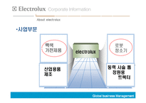 [국제경영] Electrolux의 해외인수합병-6