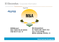 [국제경영] Electrolux의 해외인수합병-7