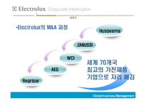 [국제경영] Electrolux의 해외인수합병-12