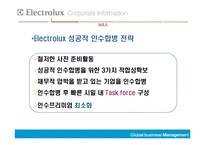 [국제경영] Electrolux의 해외인수합병-13