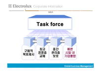 [국제경영] Electrolux의 해외인수합병-14