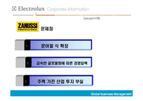 [국제경영] Electrolux의 해외인수합병-15