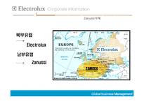 [국제경영] Electrolux의 해외인수합병-16