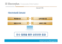 [국제경영] Electrolux의 해외인수합병-17