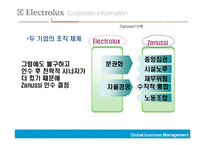 [국제경영] Electrolux의 해외인수합병-18