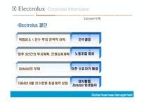 [국제경영] Electrolux의 해외인수합병-19