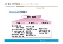 [국제경영] Electrolux의 해외인수합병-20