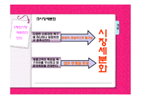 해외시장 세분화-4
