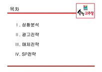 [광고학] 청정원 순창 고추장 광고기획안-2