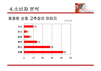 [광고학] 청정원 순창 고추장 광고기획안-18