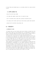 [마케팅] 스킨푸드 마케팅 전략-4