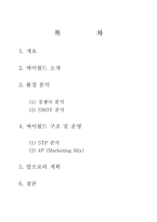 [인터넷마케팅] 싸이월드 마케팅-1