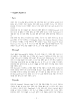 [국제마케팅] 엑스박스 X-BOX의 마케팅 전략(PS2보다 경쟁우위를 점하기 위한 마케팅 분석)-13
