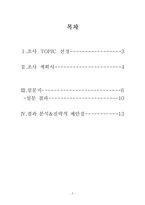 [마케팅조사] 프로스펙스 재포지셔닝을 위한 광고 컨셉-2