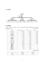 스킨푸드 마케팅전략-3