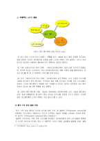 [소비자행동] 스카이 SKY와 스키마-7