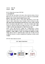 [마케팅전략] CGV의 성공전략-6
