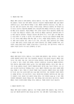 아동의 폐렴 관리 및 간호 과정에 대한 심층 분석 핵심 간호 진단 및 치료 접근법-2