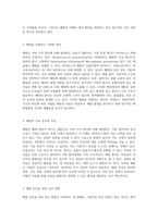 폐렴 환자의 간호 과정 탐구 간호 진단 세 가지와 그에 따른 간호 전략-3
