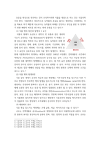 식물의학 ) 1식물병을 진단할 때 이용하는 각 병에 대한 병징과 표징에 대해 설명하라 2-A 병원체의 분리 및 동정 방법을 설명하라-3