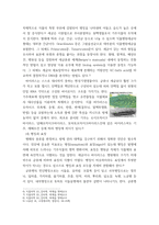 식물의학 ) 1식물병을 진단할 때 이용하는 각 병에 대한 병징과 표징에 대해 설명하라 2-A 병원체의 분리 및 동정 방법을 설명하라-4