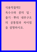 식용작물학2 ) 옥수수와 콩의 잎, 줄기, 뿌리 내부구조의 공통점과 차이점을 설명하시오-1