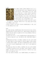 식용작물학2 ) 옥수수와 콩의 잎, 줄기, 뿌리 내부구조의 공통점과 차이점을 설명하시오-5