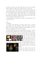 식용작물학b ) 전통적인 작물개량법, 분자육종법 그리고 형질전환 방법의 차이점을 비교설명하시오-3