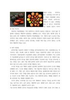 식용작물학b ) 전통적인 작물개량법, 분자육종법 그리고 형질전환 방법의 차이점을 비교설명하시오-4