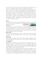 [경영학](주)SK 분석-4