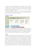 [경영학](주)SK 분석-8