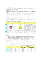 [경영학] 모닝글로리 성공 경영 분석-16