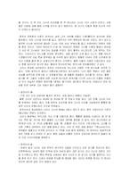 다니자키 준이치로의 작품 후미코의 발 레포트-9