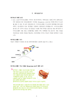 아이러브크랩 I love crab 의 발전 방향-8