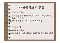 [마케팅조사] 다항목 척도-4