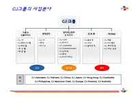 CJ 기업분석 레포트-5