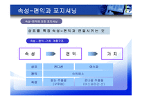 [마케팅조사] 포지셔닝 전략-11