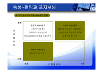 [마케팅조사] 포지셔닝 전략-13