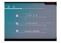 sbs.co.kr 기업분석-2