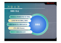 sbs.co.kr 기업분석-10