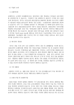 [국제마케팅] 쓰리세븐(777) 사례연구-5